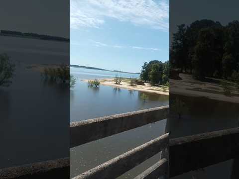 Hermosa Playa y Bosque  En La Presa Rincón del Bonete Tacuarembó Uruguay #airelibre