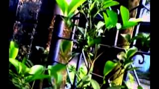 Mija and Maja: AYOKO NA by MARVIN ONG