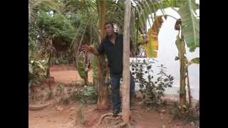 Download lagu Mbola zaza Njakafitia.VOB mp3