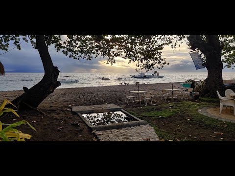 Dauin Dumaguete – Dauin Night Diving (SiriusXM Chill Mix, Lane 8, POLICA, Sheena Easton)