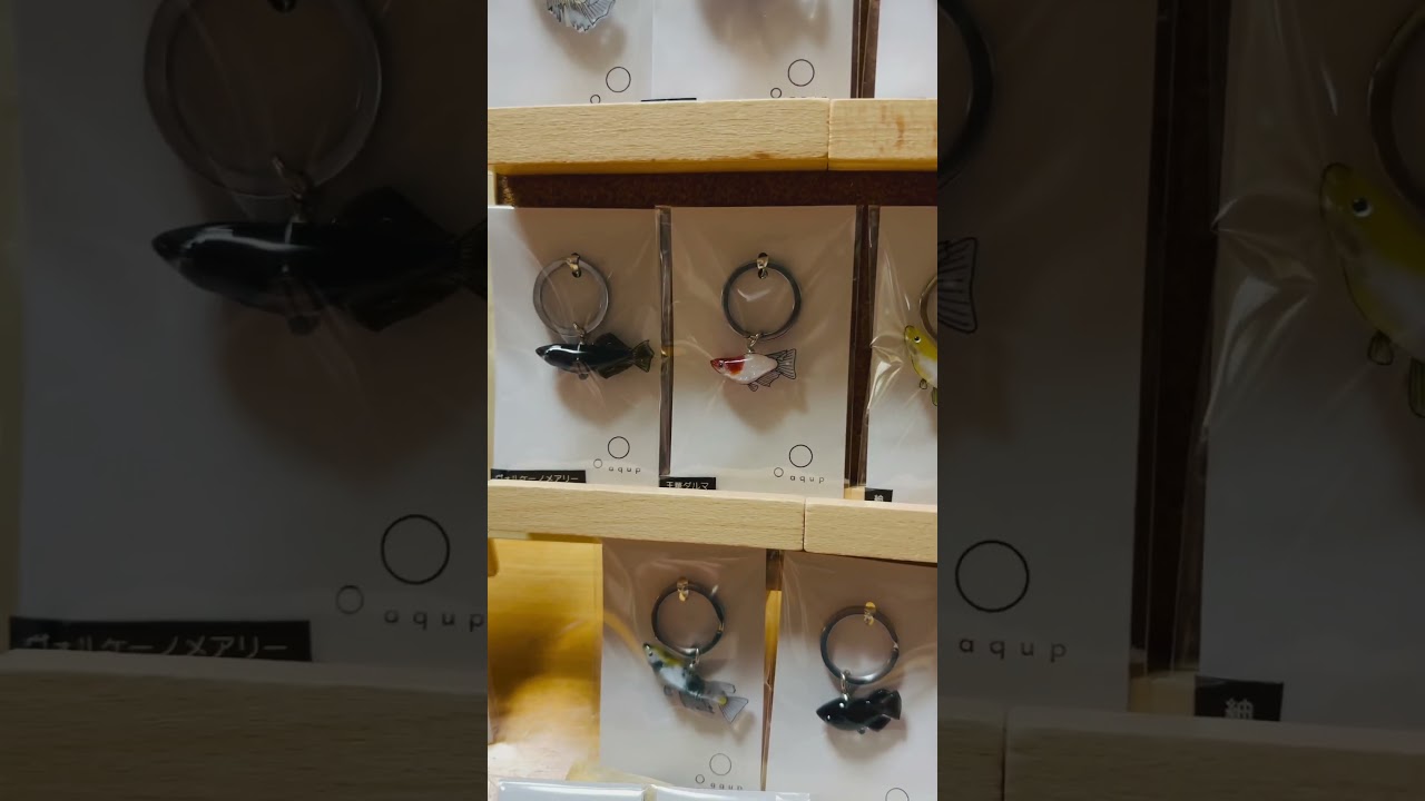 趣味メダカどふぇす！3月15日鳥取県境港市夢みなとタワーにて開催します！