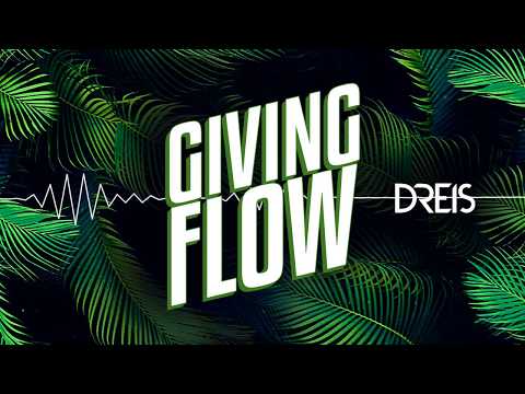 DREIS - Giving Flow