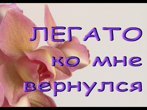 Фаленопсис ЛЕГАТО ко мне ВЕРНУЛСЯ!Орхо-посылка №2,2022.Phal. Legato.