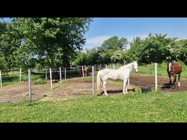 CENTRO IPPICO FERRARA FRANCOLINO