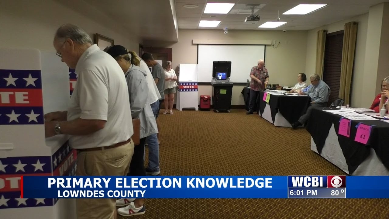 What are Primary Elections, how do they work?