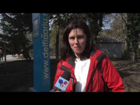 09.03.2017 / Știre Etv - SPECTACOL GRATUIT LA DELFINARIU