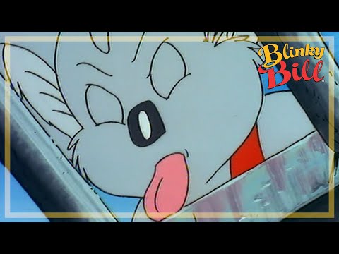 BLINKY BILL AND THE POSSUMS CINEMA - Episode 20 - Season 2 - The Adventures of Blinky Bill