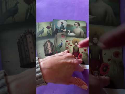 LAST IMPORTANT MESSAGE OF THIS YEAR