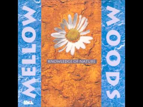 Mellow Moods 1   Mixed by Remy