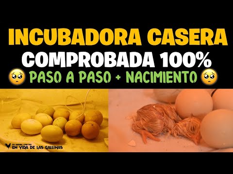 , title : 'COMO HACER UNA INCUBADORA CASERA | 100% COMPROBADA - BIEN EXPLICADO'