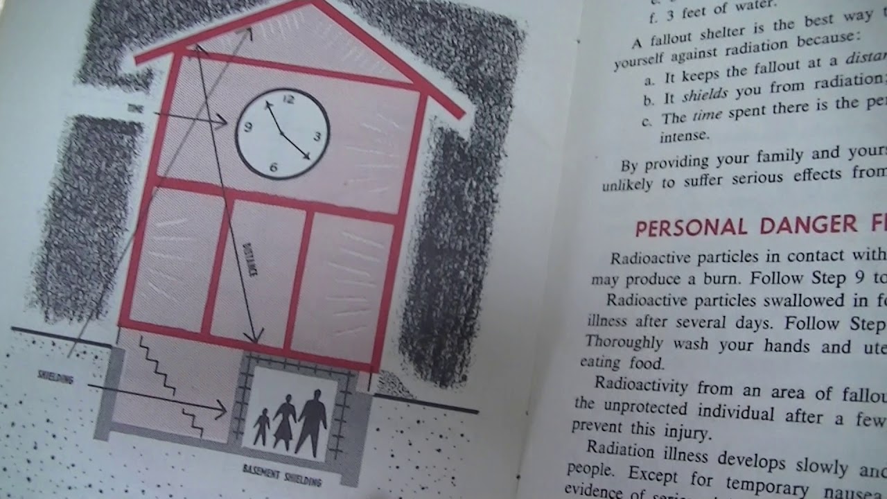 11 steps to survival