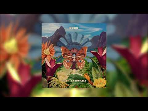 Seth Schwarz - Quando Rando (Original Mix)