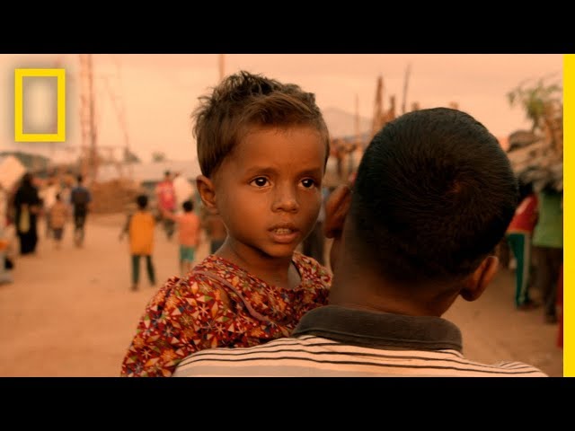 Lost and Found – Full Documentary | National Geographic
