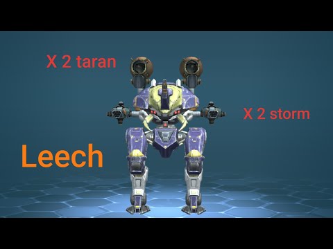Scarab leech War robots 2x taran 2x storm perfect run