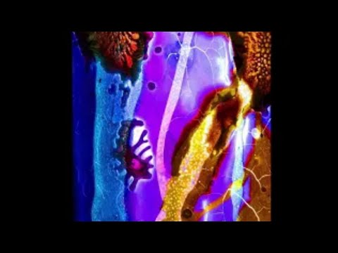 Mace - Ragazzi della Nebbia (Testo - Lyrics) (Official Video)