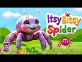 Itsy Bitsy Spider Song NEW Cutest Spider Song Kids Songs Nursery Rhymes