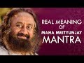 The Real Meaning Of Maha Mrityunjaya Mantra in Hindi