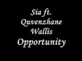 Sia -  Opportunity ( Lyrics )