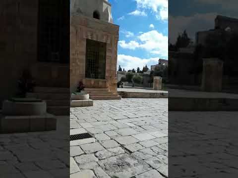 GERUSALEMME 2017 GALAXY 110 - L'arrivo alla SPIANATA DELLE MOSCHEE