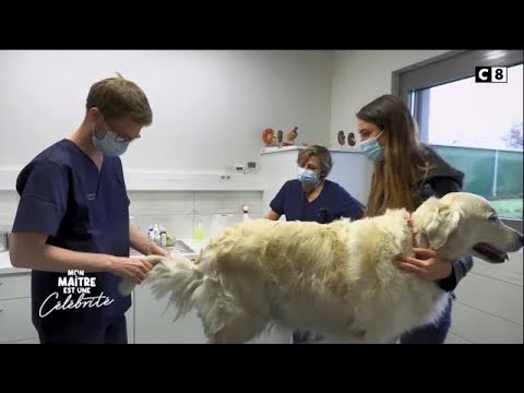 Delphine Wespiser goes to the veterinary clinic - My master is a celebrity