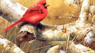 Oliver Koletzki - This Is Leisure (Feat. Mieze Katz)