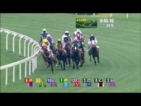 The Magic Man's Day Joao Moreira Wins 1/8 Race at Hong Kong Racecourse