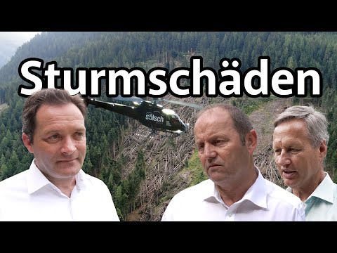Aufräumarbeiten in den Tiroler Wäldern