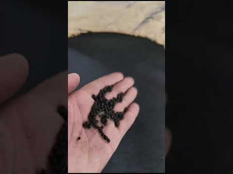Organic Prom Fertilizers
