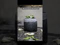 Sri Chaganti Koteswararao Pravachanam About Bhrama Sootra Shivalingam 🫶