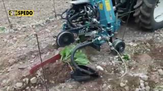 Eszközhordozó,  soraljművelő,  tőközművelő SPEDO tárcsás automata és kézi kitérés