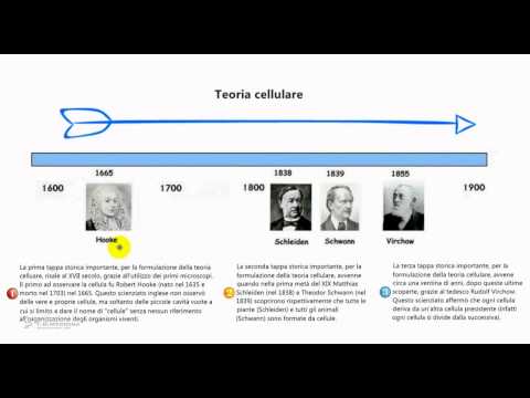 Se lentiggini il sorriso di testo di una canzone Acido borico di posti di pigmentary