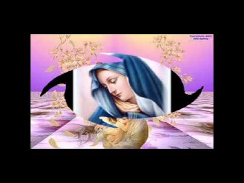 NGẮM NĂM SỰ VUI