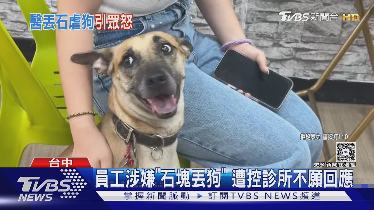 男路過遭狗衝出嚇壞!撿18cm巨石狠砸 飼主控診所人員「不關心」