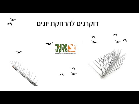 תמונה של سوق زور