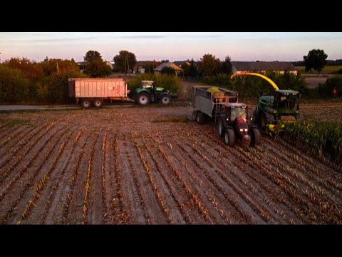 Kiszonka z Kukurydzy 2023🌽 Dzień&Noc w Gr.Konopacki&U.R.chmielak w Akcji