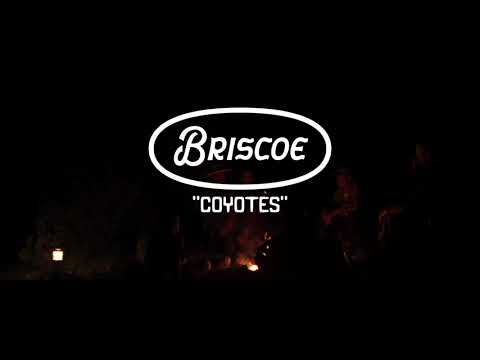 Coyotes - Briscoe