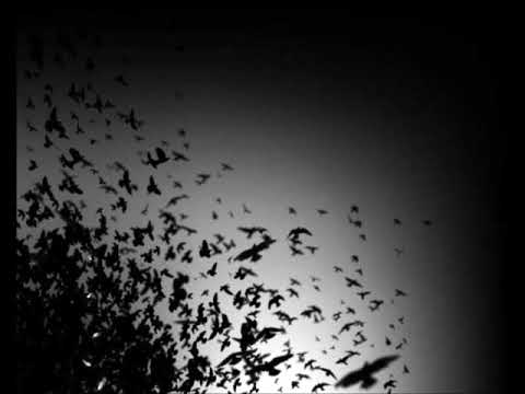 Industries Of The Blind-15th Between 5th And 6th