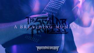 Download lagu THE SCALAR PROCESS - A Breathing Moment  VIDEO (Prog/Tech Death) Transcending Obscurity mp3