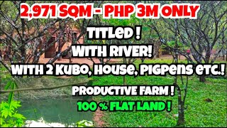 (PROPERTY#50) FARM FOR SALE IN LAGUNA- TITLED - WITH RIVER - FLAT LAND