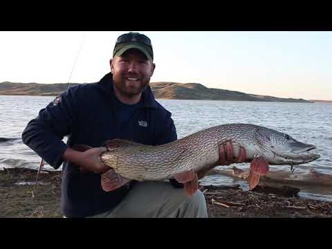 Season 14 Episode 3 - Pike Fishing from Shore