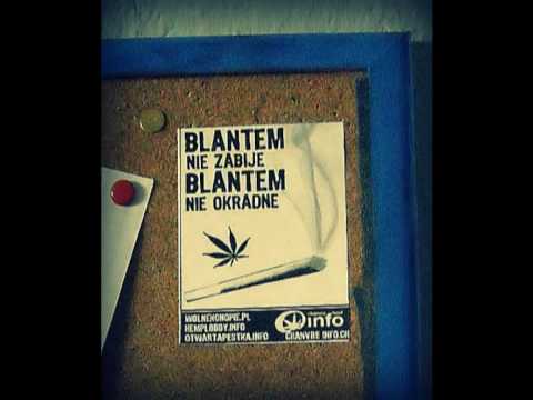 Jasna Liryka - Legalize