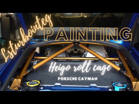 Porsche Cayman Painting Roll Cage  (Heigo from FVD Brombacher)