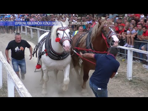 -SIMIĆI PREGAZILI ŽARKOVAC I JURIŠAJU NA EVROPU -