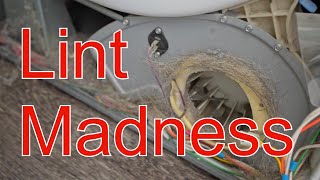 Lint Madness - Adventures of Buying Used