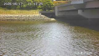 京浜運河