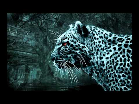 Filter Tip - On Heat (Graham Camp Mix)