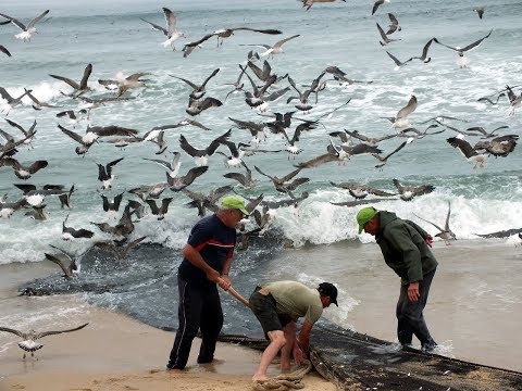 Arte Xávega - Praia da Tocha