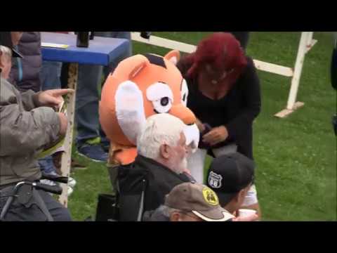 *Superliga Speedway*, Reg. Varde Elitesport vs Holsted Tigers, Moldow Speedway Arena, 16.08.2017-A1.