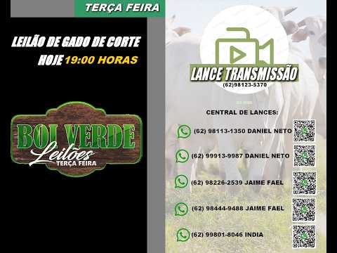 LEILÃO  GADO DE CORTE-  BOI VERDE - SANTA TEREZINHA DE GOIÁS