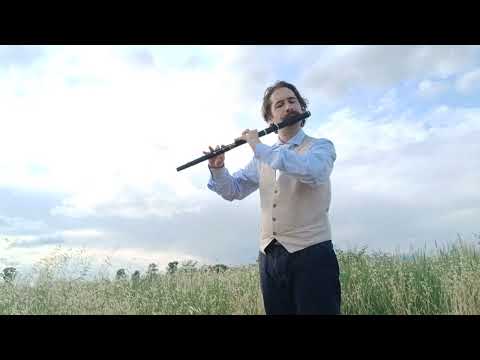 the Parting of Friends, Leonardo Paoletti - ver. Matt Molloy; flute